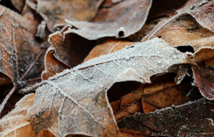 Bulletin météo. Quel temps fait-il ce mercredi 20 novembre dans les Hauts-de-France ?