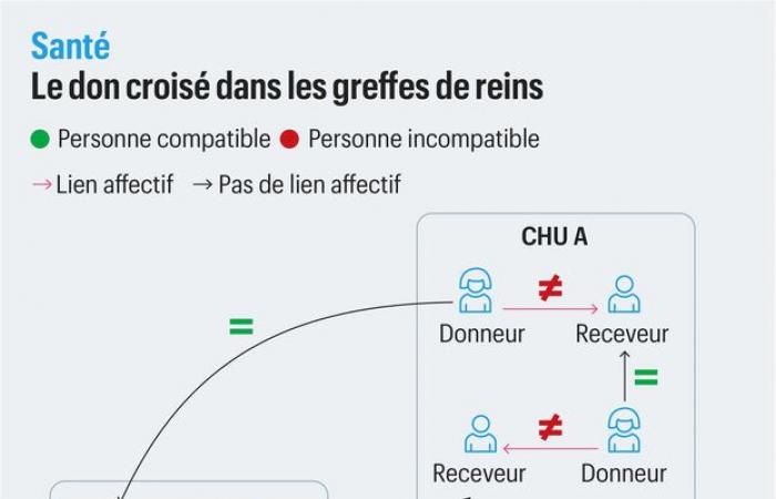 Le CHU de Bordeaux a réalisé la première triple greffe croisée de rein en France