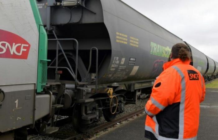 le mouvement pour le Fret SNCF modérément suivi dans l’ensemble du groupe : Actualités