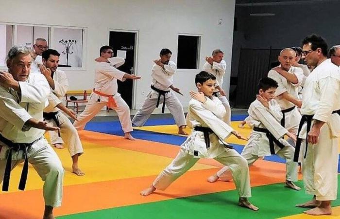 Moncé-en-Belin. Bon début de saison au Karate Club