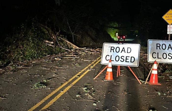 Plus de 460 000 personnes sont privées d’électricité alors qu’un « cyclone à la bombe » provoque des vents violents sur l’ouest de l’État de Washington