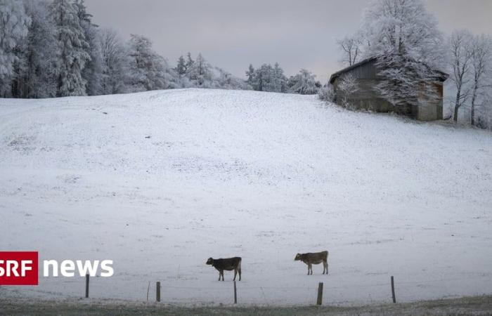 La grosse neige arrive-t-elle maintenant ? -Nouvelles