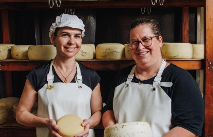 la fromagerie Mallaroni remporte une médaille d’or au niveau national