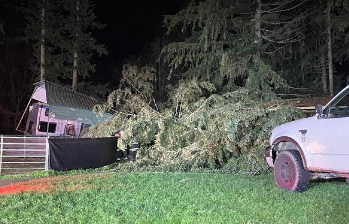 Un cyclone meurtrier frappe la région de Seattle avec des vents violents laissant plus de 600 000 personnes sans électricité