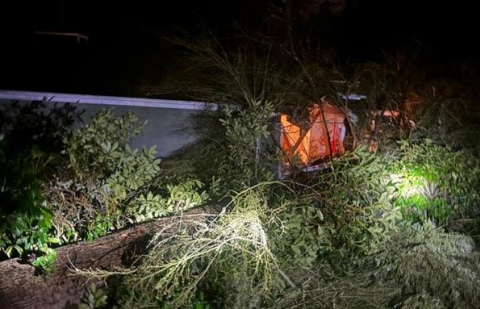 Un cyclone meurtrier frappe la région de Seattle avec des vents violents laissant plus de 600 000 personnes sans électricité