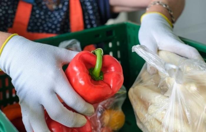 Le Secours Catholique alerte sur l’aggravation de la précarité dans le Maine-et-Loire