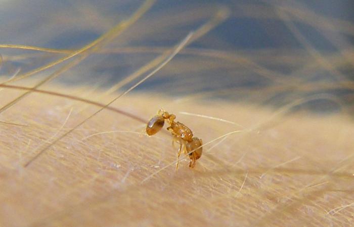 une menace pour les habitants et la biodiversité