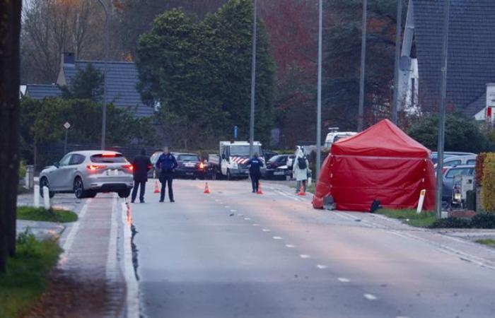 un cycliste (56 ans) de Kortessem est décédé (Diepenbeek)