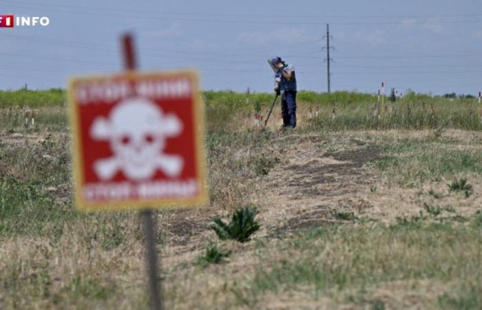 mines antipersonnel fournies à Kiev, décision américaine controversée