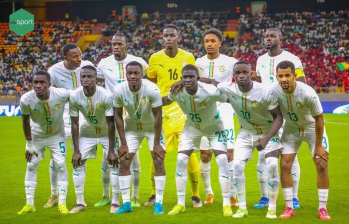 Les géants présents et l’absence surprise du Ghana et de la Guinée, voici la liste des 24 qualifiés