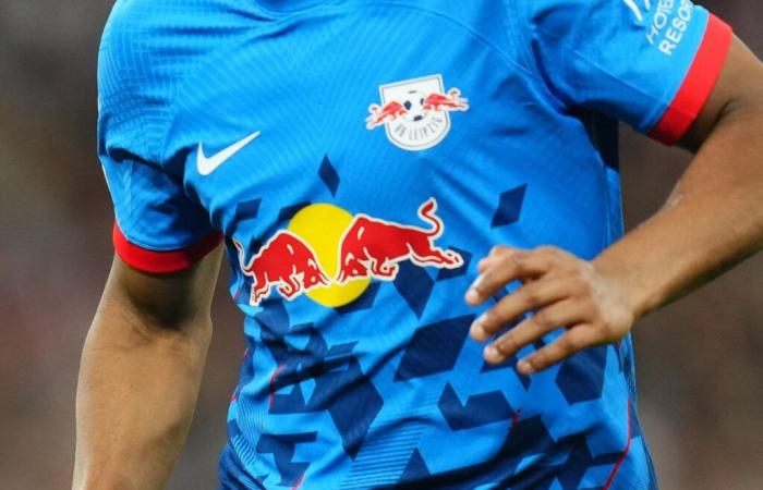 Paris FC – L’arrivée de Red Bull en Ligue 2 est-elle l’entrée du loup dans le giron ?