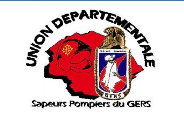 les 1 250 pompiers du Gers en tournée calendaire.