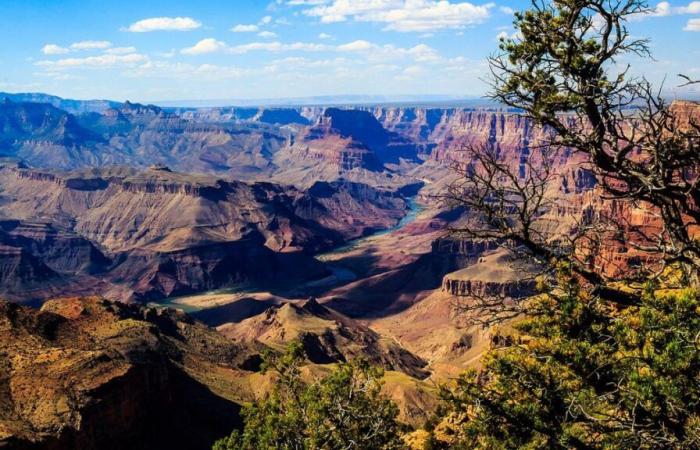 Cette découverte dans le Grand Canyon pourrait réécrire l’histoire de l’explosion cambrienne