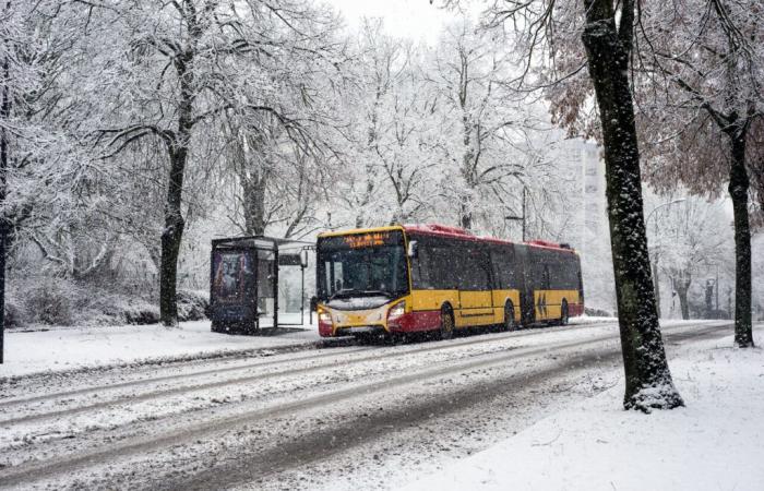 neige de la Bretagne à l’Alsace, jusqu’à 10 cm et des dizaines de vigilances ce jeudi