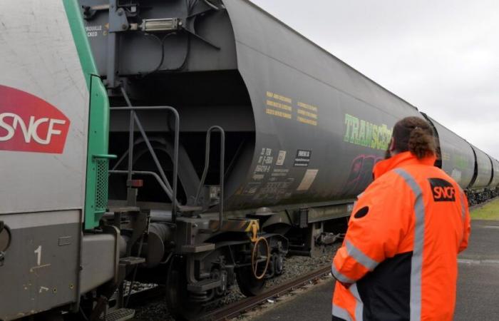 le mouvement pour Fret SNCF modérément suivi dans l’ensemble du groupe – L’Express