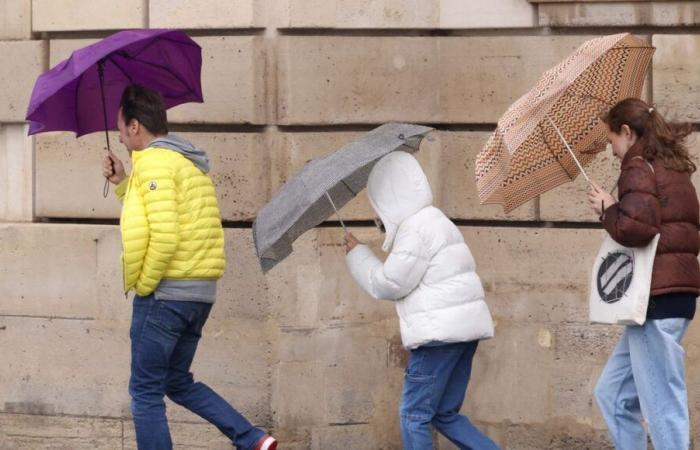 Vienne and Deux-Sèvres on orange alert for violent winds