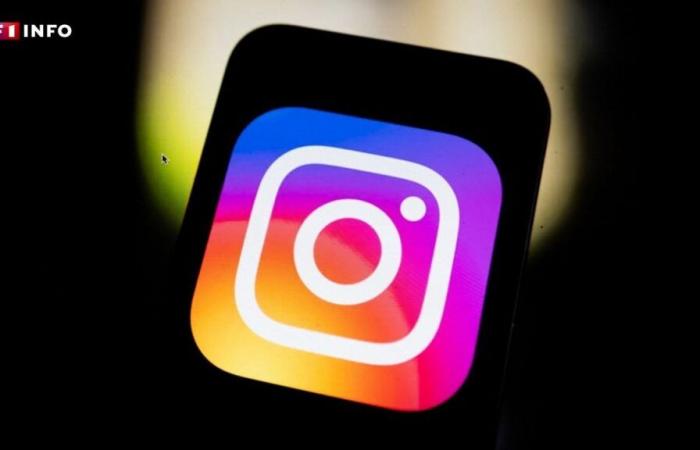 Contenus indésirables sur Instagram : bientôt un bouton « réinitialiser »