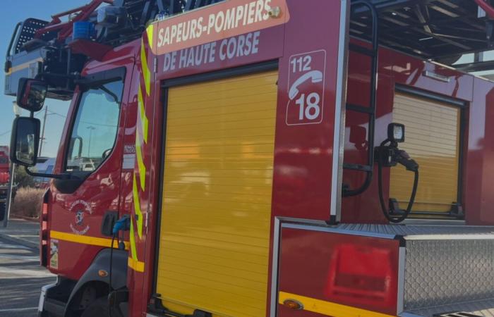 attisé par le vent, un incendie ravage 20 hectares