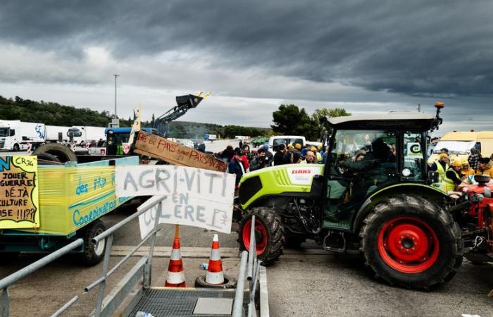 « Si les autres syndicats agricoles étaient venus nous succéder, nous aurions pu continuer bien plus longtemps »