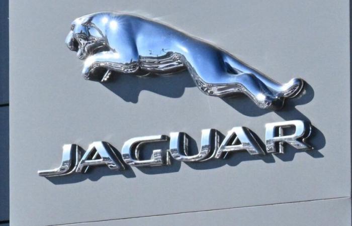 Jaguar distingué pour sa nouvelle image « woke »