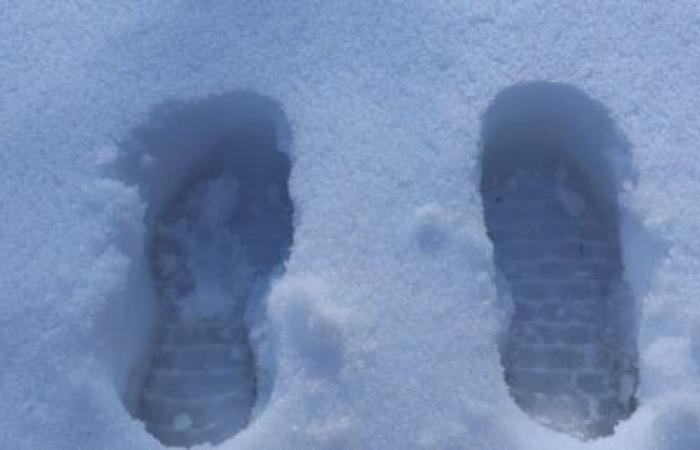 La Colombie-Britannique prévoit « davantage de chutes de neige » et de temps froid cet hiver