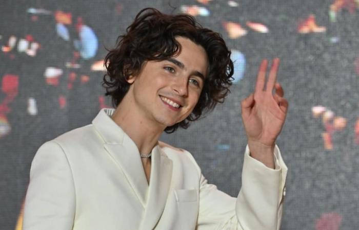 Timothée Chalamet a refusé de voir ses amis ou visiteurs lors du tournage du biopic de Bob Dylan