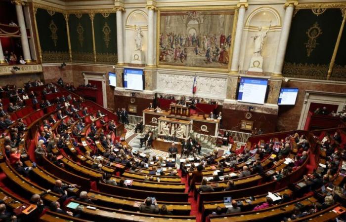 L’Assemblée nationale acte la création d’un groupe d’amitié France-Palestine