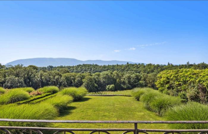 La maison de Zep pourrait être rachetée par la Ville de Genève