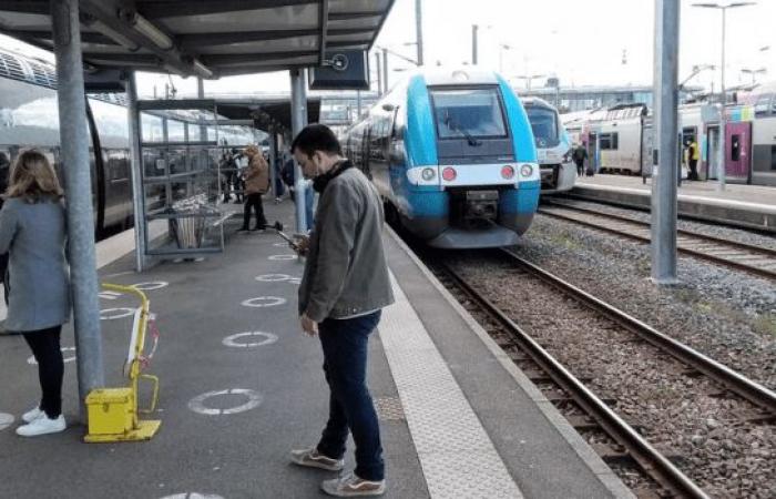 Une grève à la SNCF ce jeudi contre la privatisation du Fret et des TER