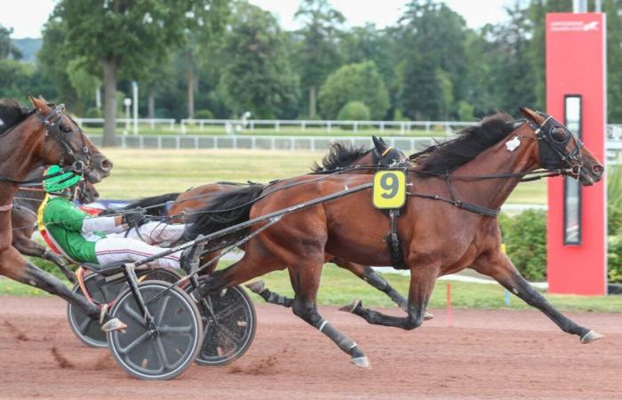 Un prix Picardie avec plusieurs gagnants possibles