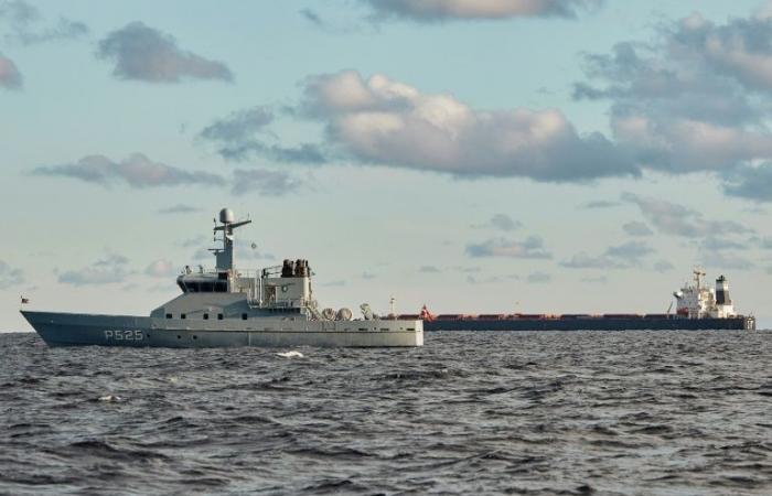 Un bateau chinois placé sous surveillance danoise après une rupture de câble en mer Baltique