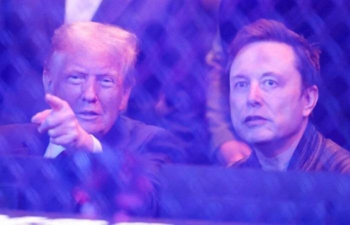 Donald Trump et Elon Musk invités en France par Emmanuel Macron, en février 2025 : Actualités