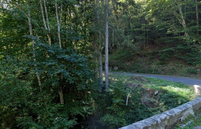 une voiture et un corps calciné retrouvés dans un bois