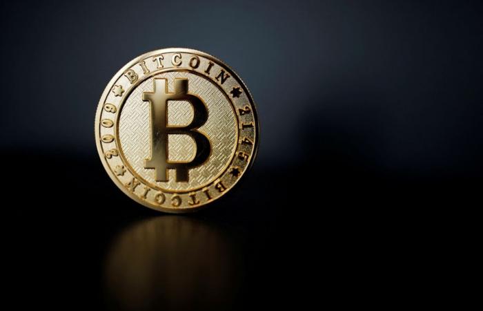 Bitcoin dépasse les 95 000 dollars pour la première fois