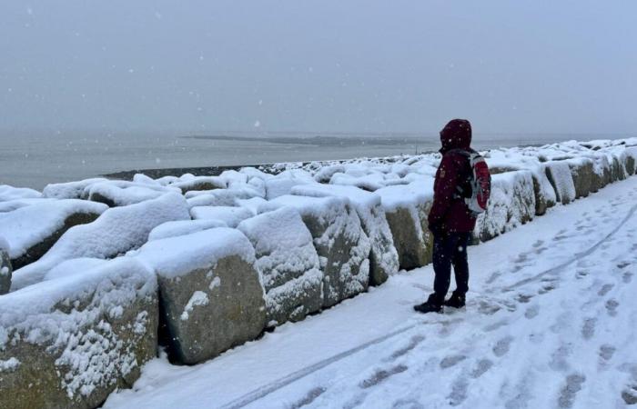 Bulletin météo. Voici la carte des chutes de neige attendues ce jeudi dans la Manche