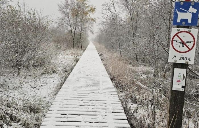 la neige est revenue ce mercredi et tombera en abondance par endroits ce soir et cette nuit