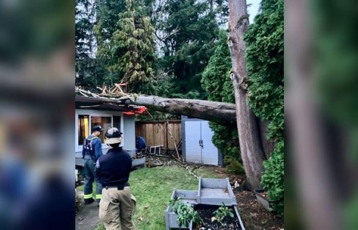 Un cyclone meurtrier frappe la région de Seattle avec des vents violents laissant plus de 600 000 personnes sans électricité