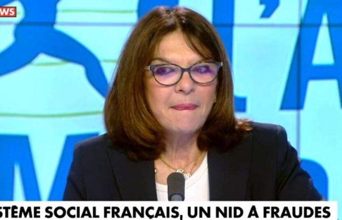 A quoi correspondent les 850 milliards d’euros de prestations sociales en France, dénoncés par le média Bolloré ? – Libération