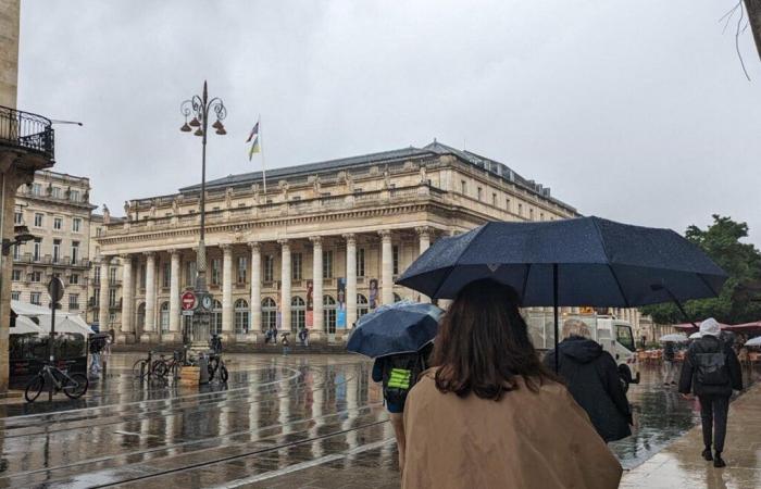 La Gironde placée en alerte orange pour risques de fortes rafales de vent