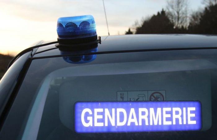 un conducteur heurte mortellement un auto-stoppeur et s’enfuit