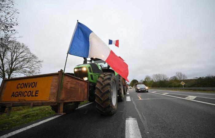 EN DIRECT – Au moins six barrages sont prévus dans le département… Vivez la mobilisation des agriculteurs en colère dans la Nièvre