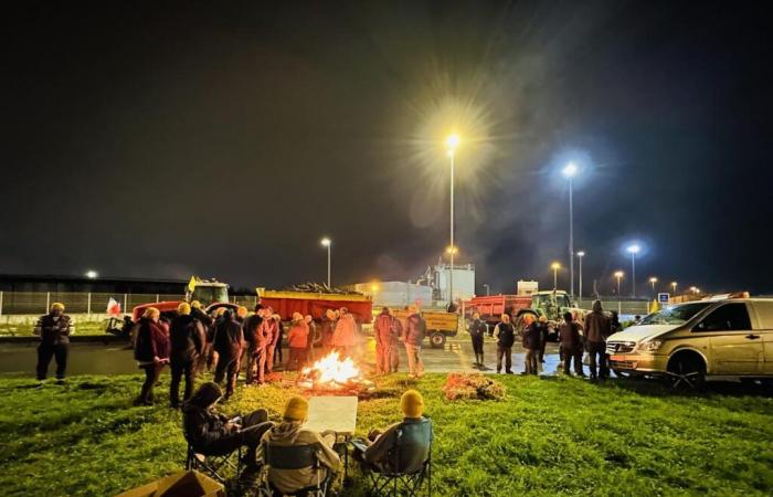 les tracteurs sont arrivés à Bordeaux et occupent le port de Bassens, revivez la journée de ce mercredi