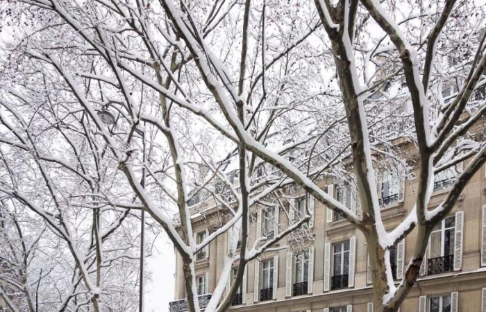 la neige arrive à Paris et en Île-de-France, la météo qui vous attend dans la région