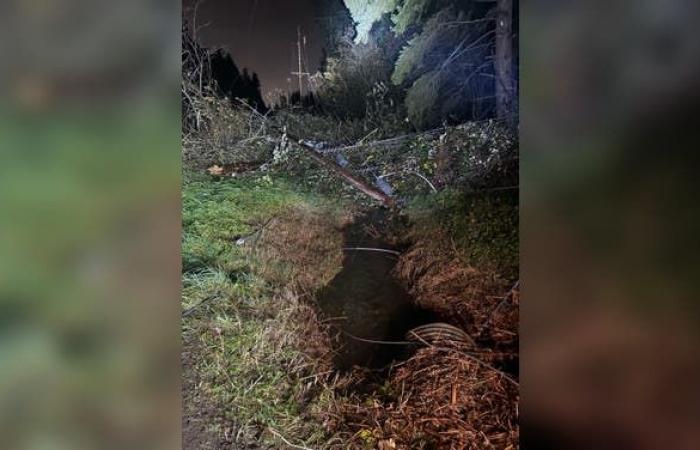 Un cyclone meurtrier frappe la région de Seattle avec des vents violents laissant plus de 600 000 personnes sans électricité