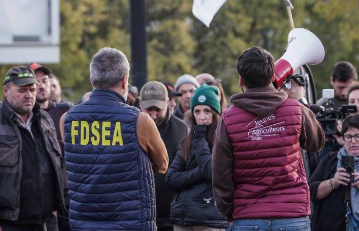 REJOUER. Colère des agriculteurs : fin du blocage de l’A9 vers l’Espagne, manifestations la semaine prochaine… suivez la journée de mobilisation