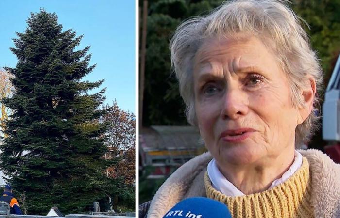 les larmes aux yeux, Anita a offert son sapin majestueux à la Grand-Place