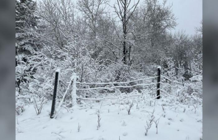 Fortes chutes de neige et vents forts dans l’ouest du Manitoba