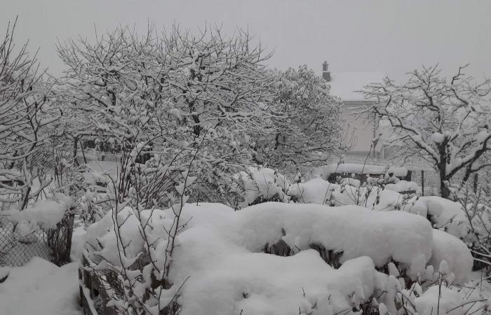 Jeudi en deuxième partie de journée, l’hiver s’installe dans les plaines ! (20 novembre 2024)