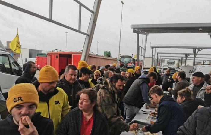 Direct. Des agriculteurs en colère de Nouvelle-Aquitaine convergent en Gironde, suivez la situation près de Bordeaux