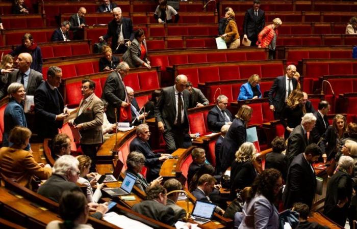 Les députés approuvent en commission un projet de loi de La France insoumise